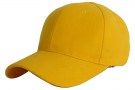CAP (1)